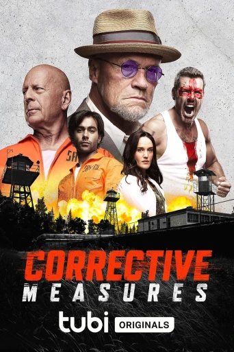 Corrective Measures