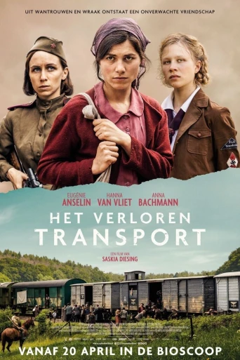 Lost Transport