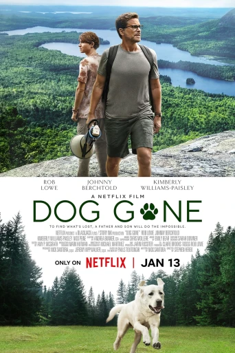 Kayıp Köpek