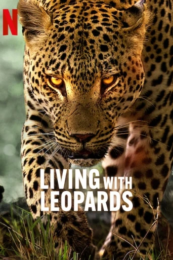Leoparlarla Yaşam