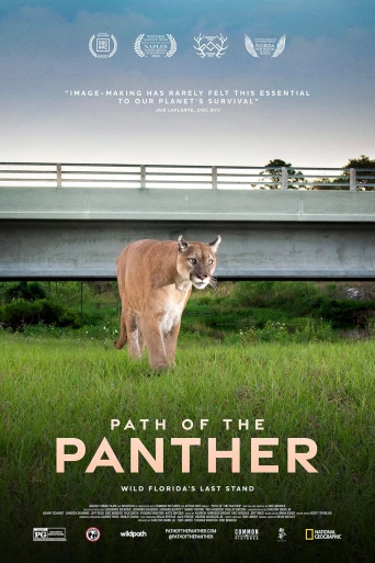 Path of the Panther