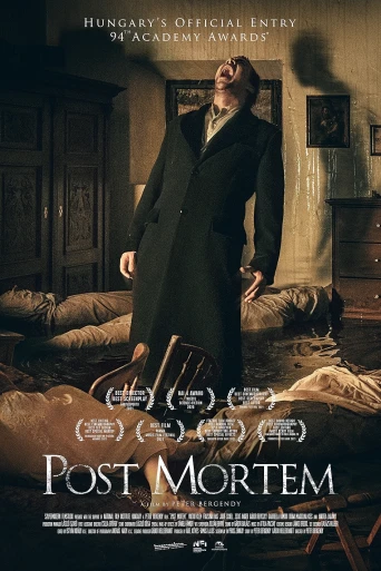 Post Mortem